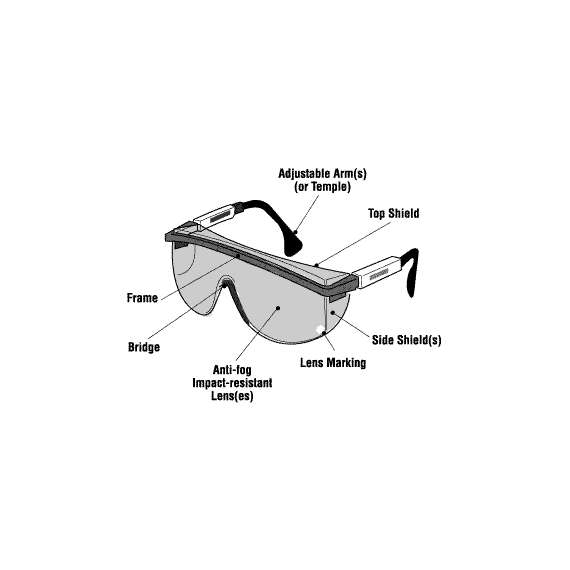 Buy Clear safety goggles with black frame & clear lens in [storefront]